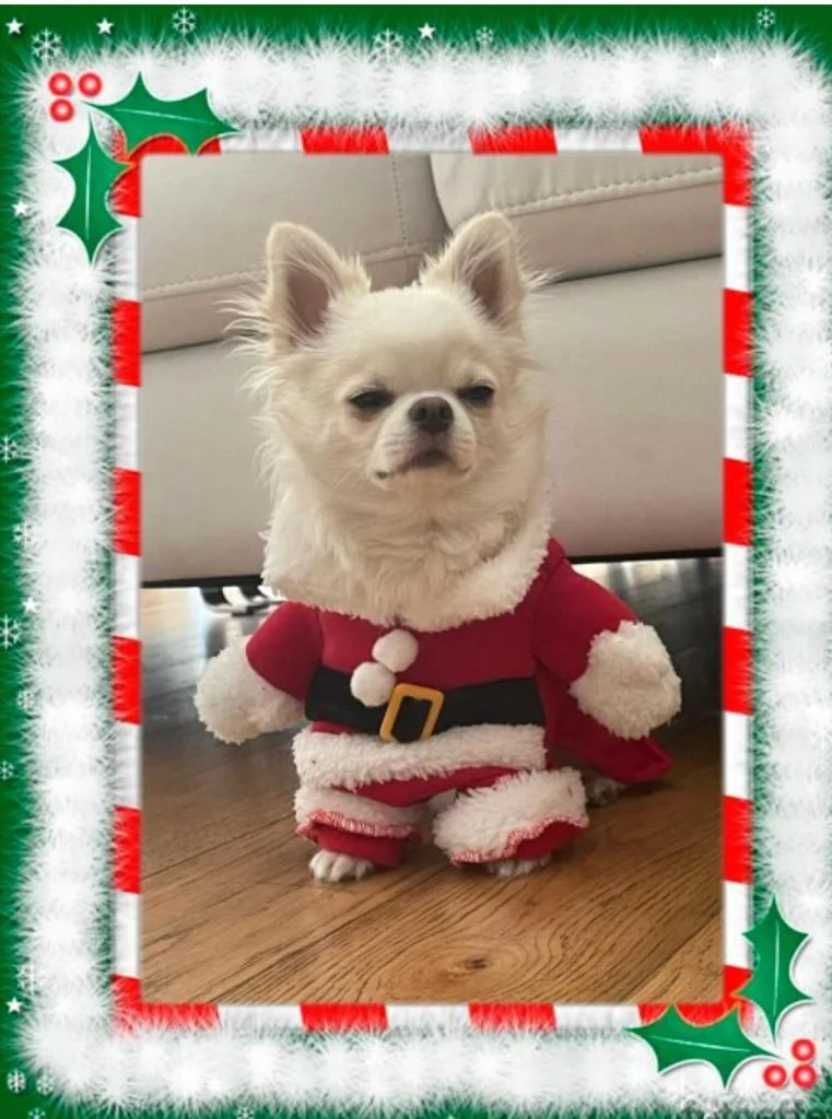 Lilo