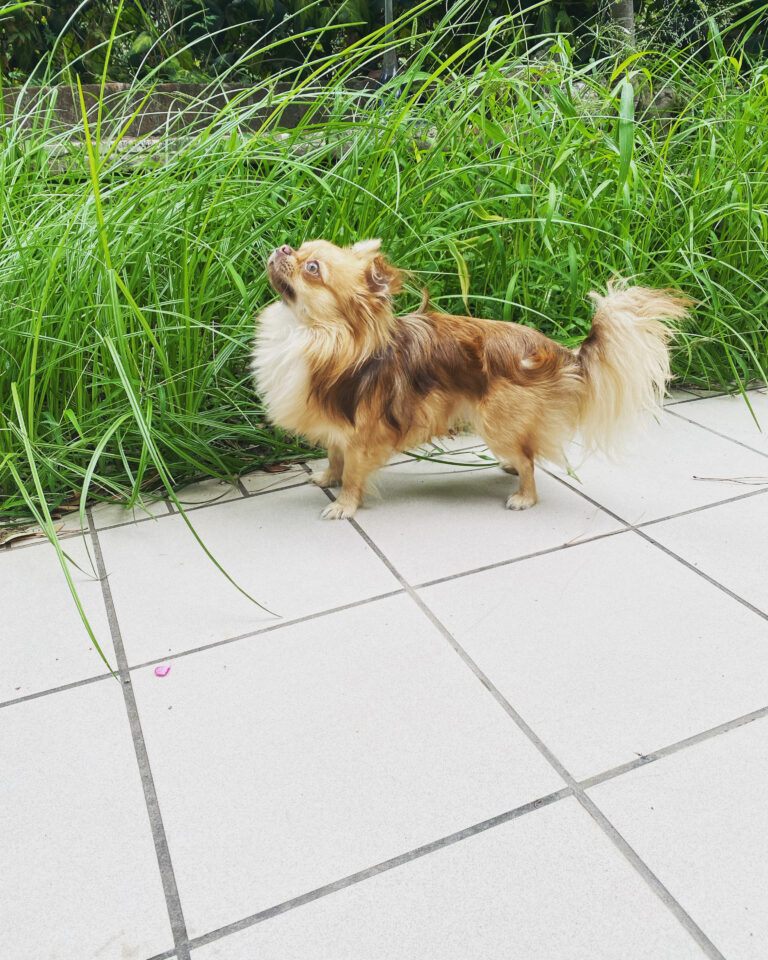 04E1DD22 D325 422D ABB6 F336847A46DA