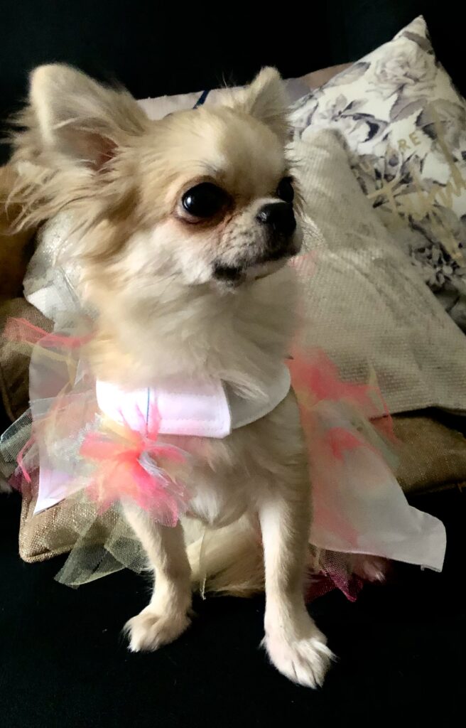 09B7CC09 6537 4144 A4F1 63CF8F083CB4