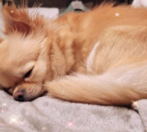 Chloe'