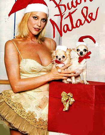 Buon Natale da Stefania Orlando e dai suoi chihuahua!