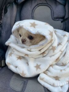 18da64a5 871e 4691 ac9d 969d7f78decc