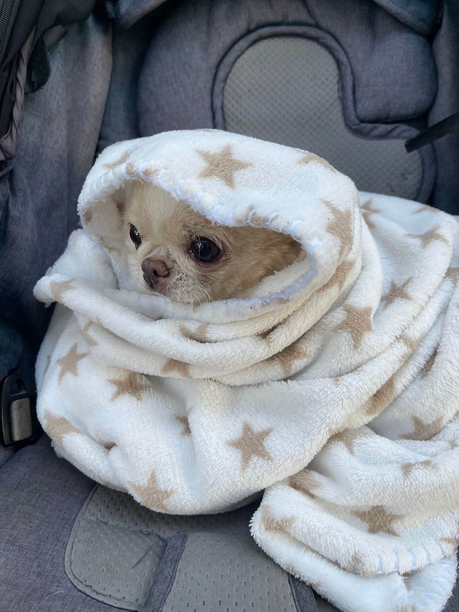 18da64a5 871e 4691 ac9d 969d7f78decc