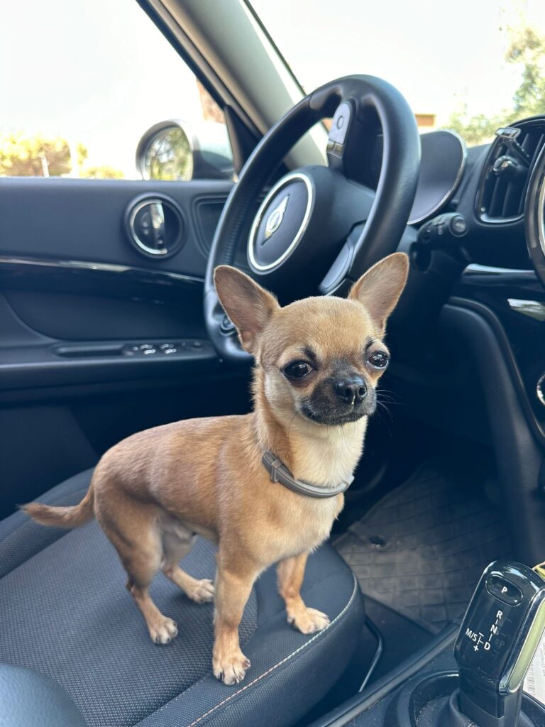 1d89f837 72a5 4eaa 8101 ca416ab04408