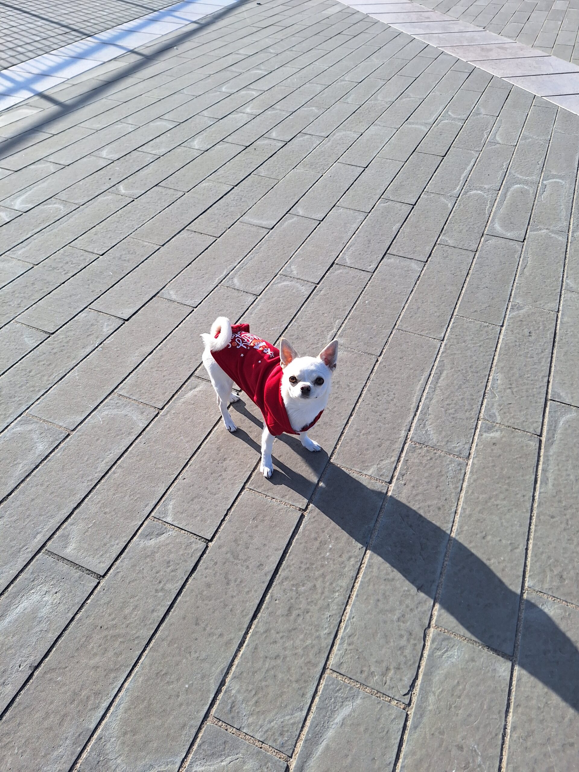 20231225 105202 scaled