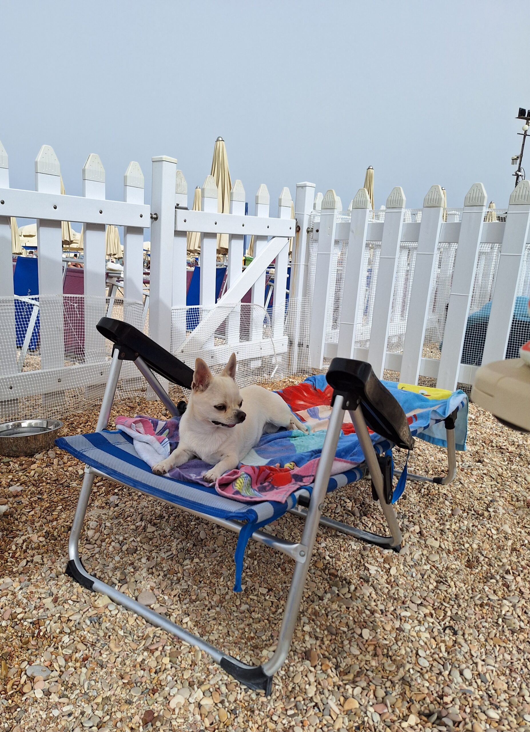 20240619 165335 scaled