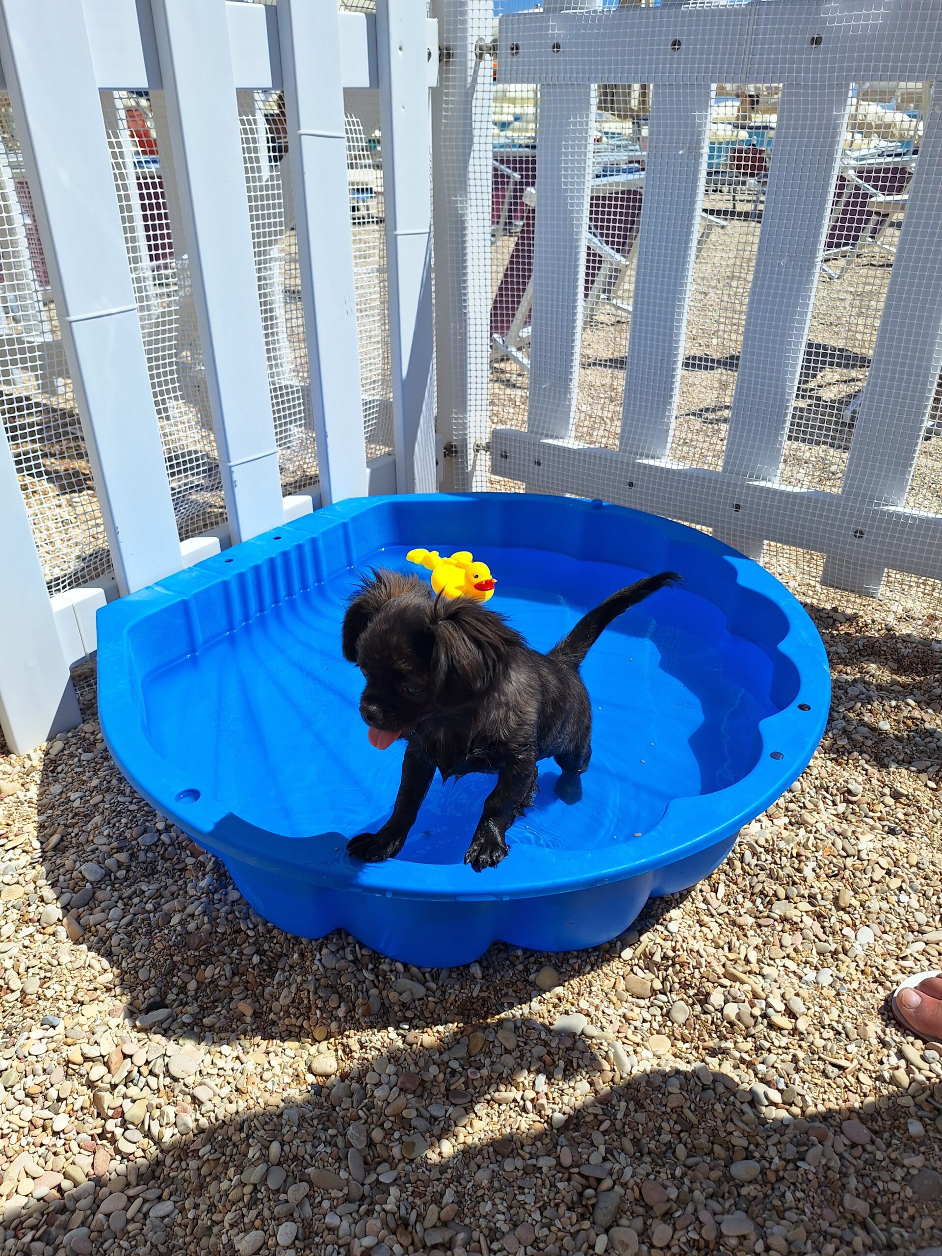 20250630 110804 scaled