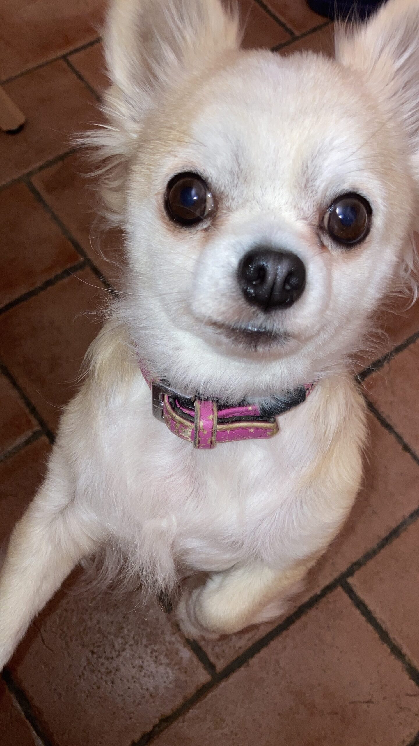 268EAC9D B5CD 4733 8177 C9AD6BDE4070