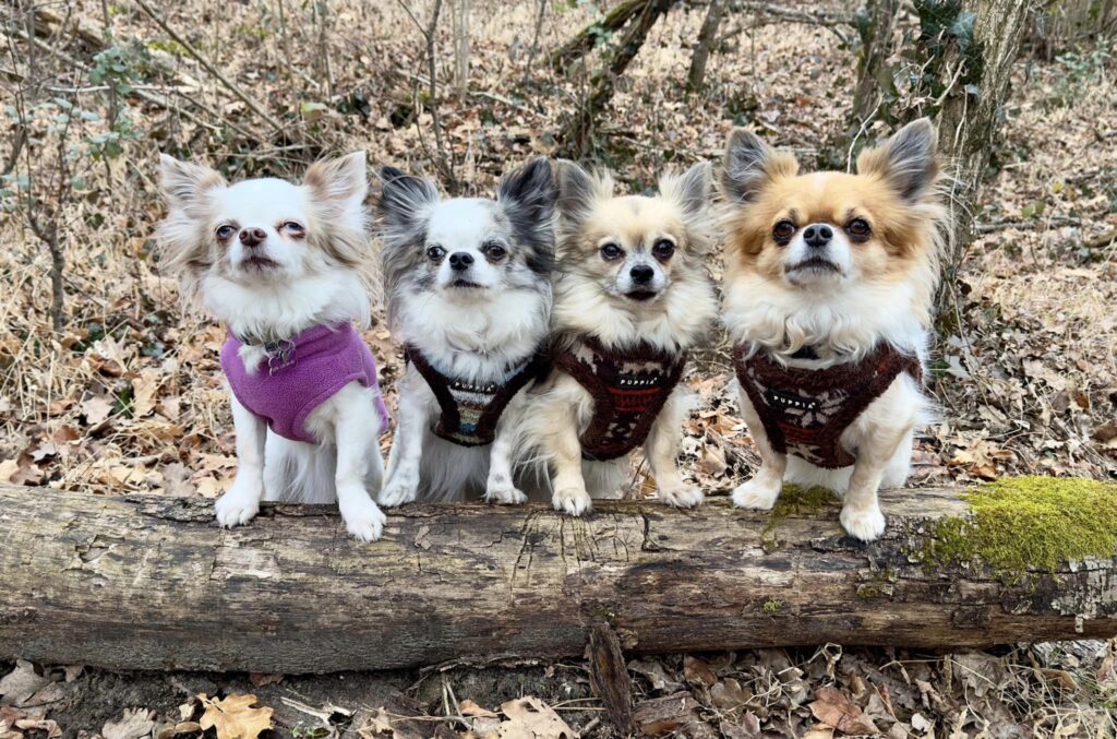 417699682 10233314864600760 5098931981309930463 n