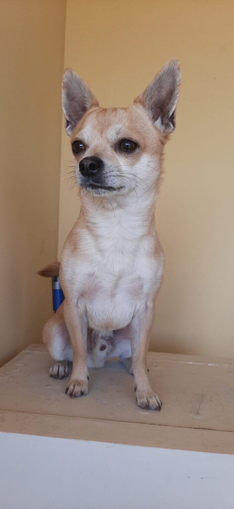 5ace8123 534a 456d 9feb a4518c9b59d1