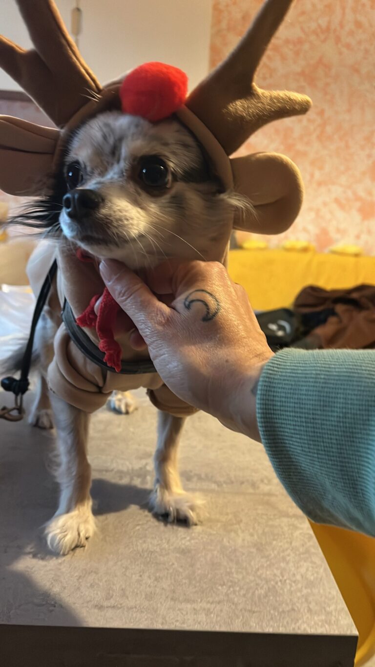 6196653E 2FB1 4239 B14A 10EBB1F8BDEB