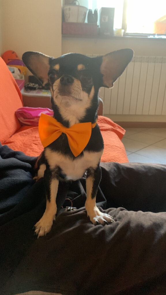 63B88FED 1721 4C14 B370 F70A47AA6B54