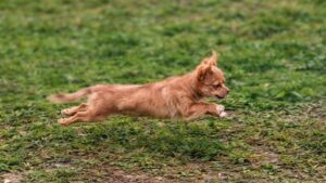 97931b1d 7188 401c b216 9d2e48e3058e