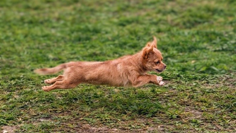 97931b1d 7188 401c b216 9d2e48e3058e