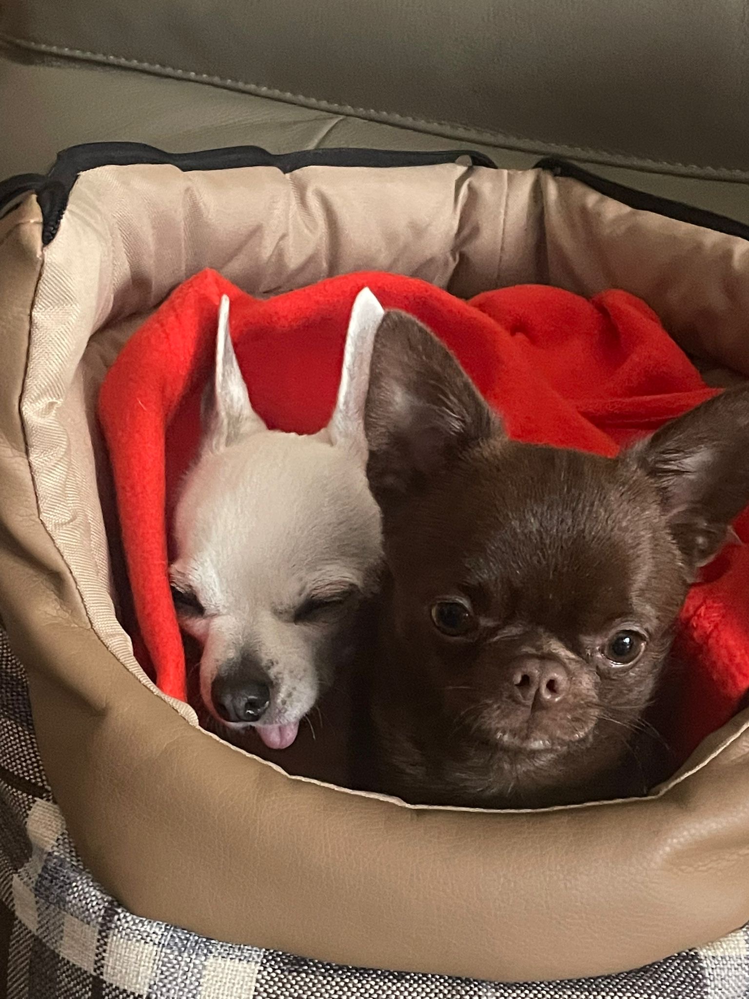 9c8d9661 b05c 43f9 b7af cc67e4d7524a