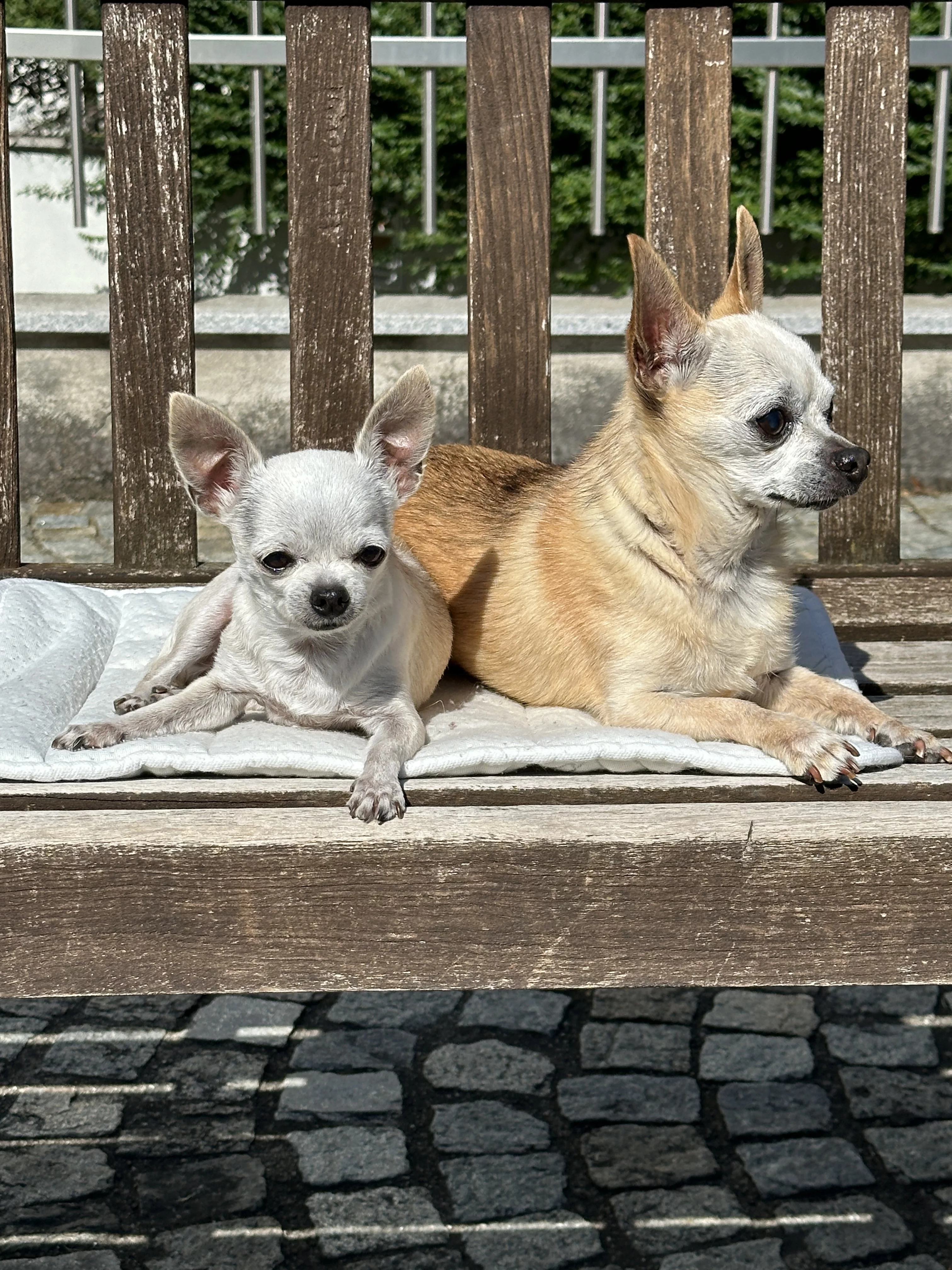 Mindy & Willy