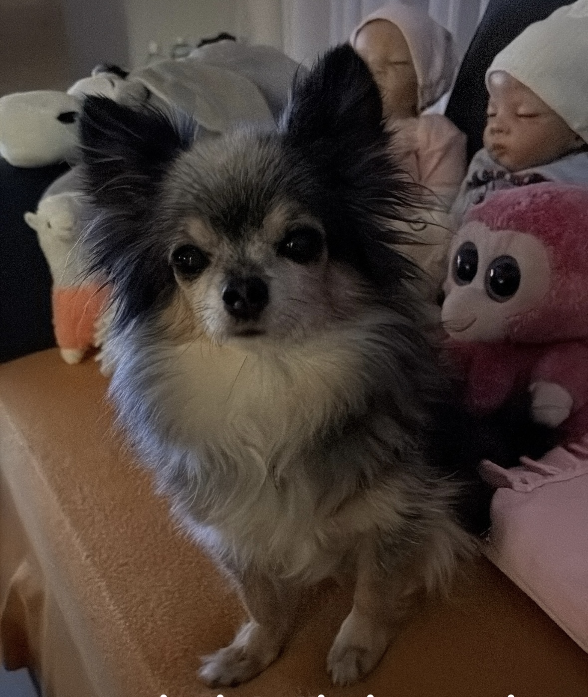 BA7E21FD FF04 4307 A0DC 28F50BCDAA81