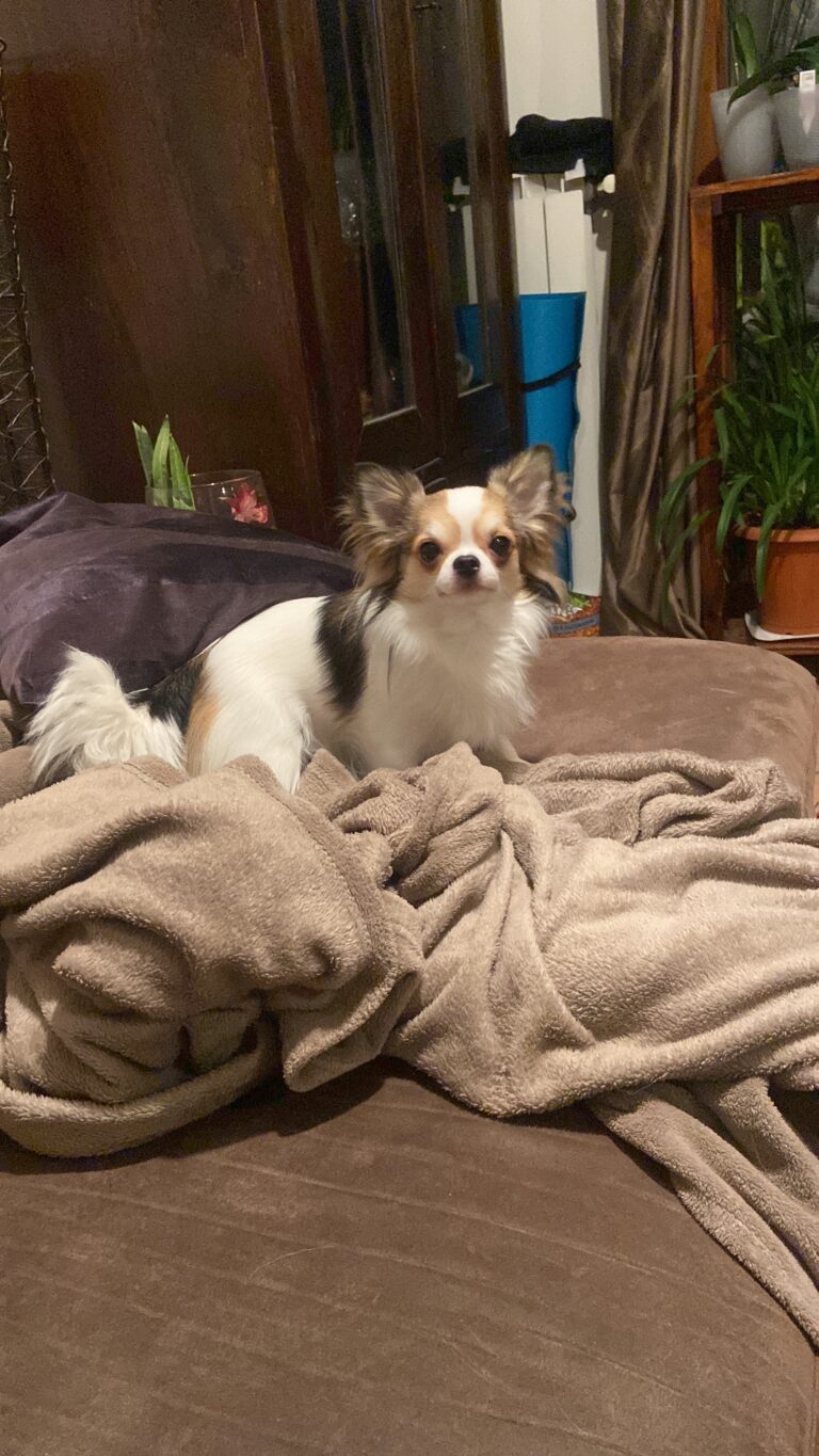 C9226A34 F54F 46BE BCF4 BE01DAC5DA4B