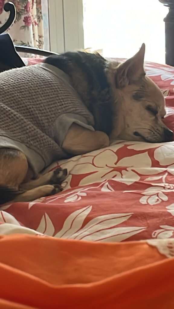 D6245EF9 1066 485E 8838 964B85DE9A72