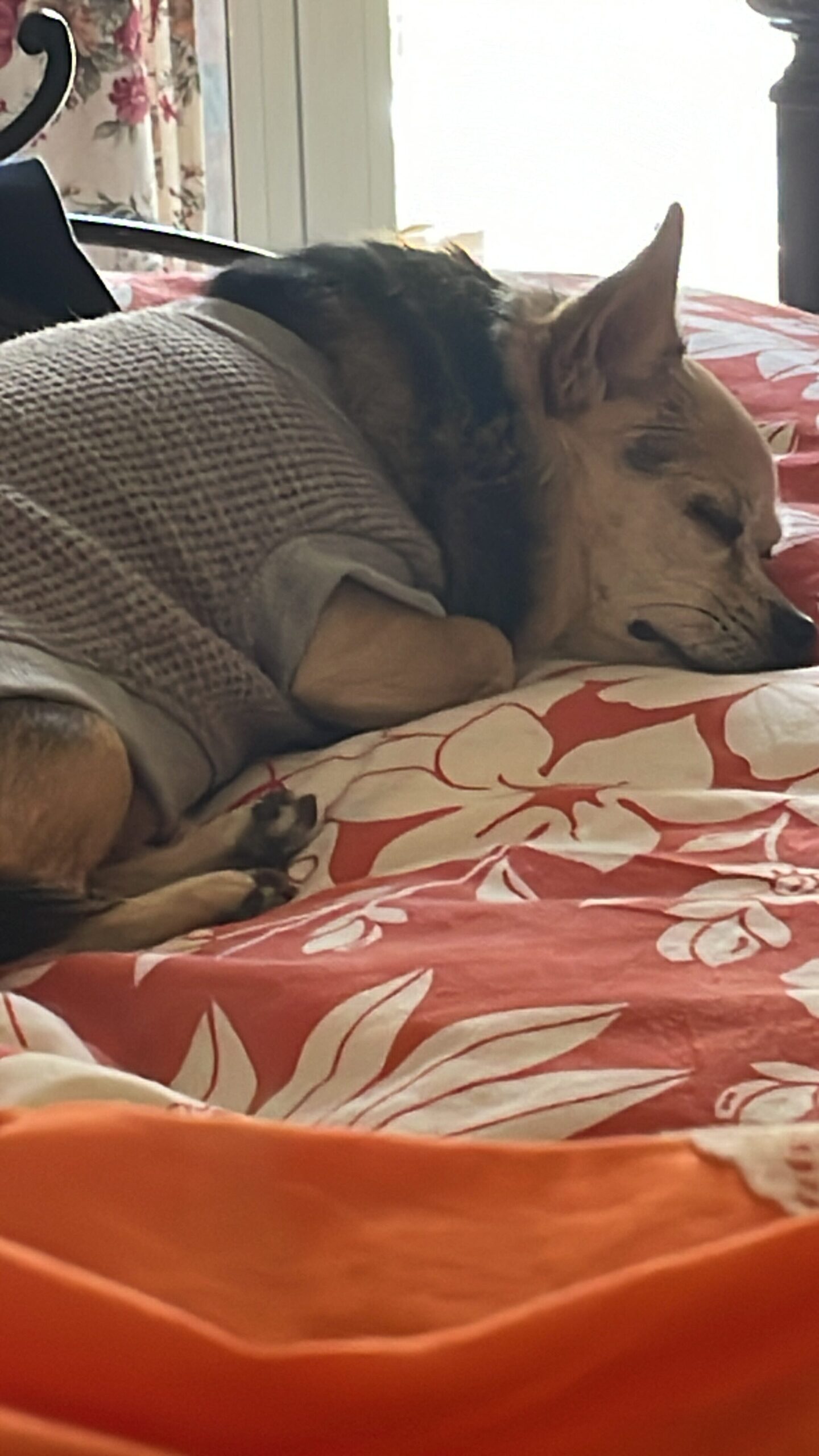 D6245EF9 1066 485E 8838 964B85DE9A72