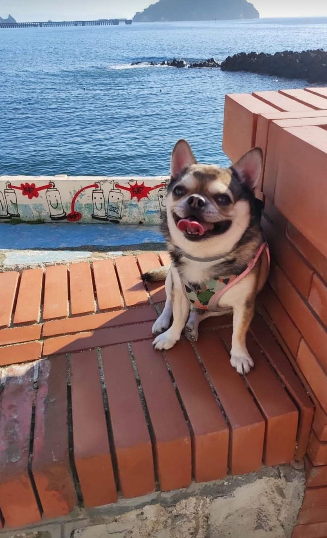 FB IMG 1772635224299 1