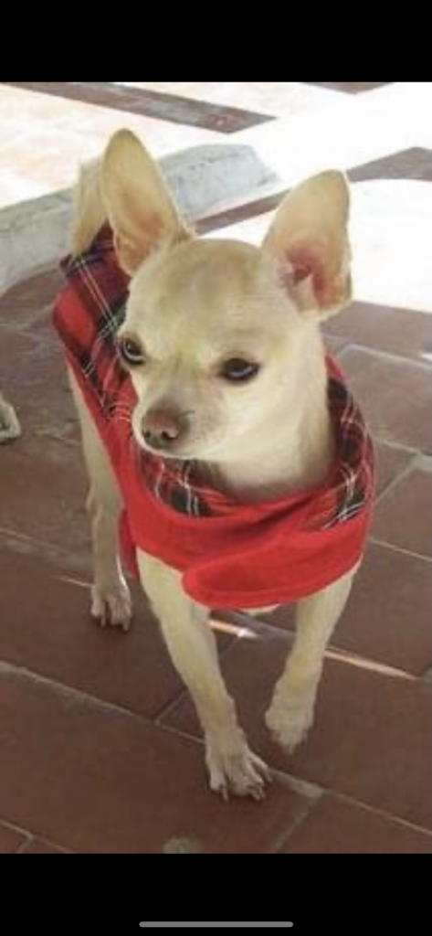 FEE77077 26D9 4BCF B964 63A5FCDCAD21