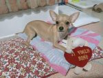 IMG 20220730 WA0014