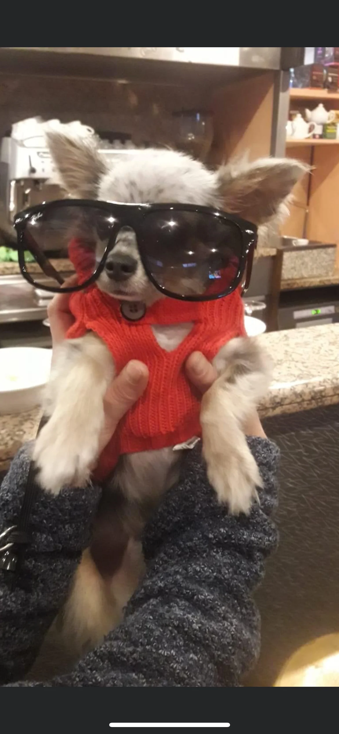 Chuky