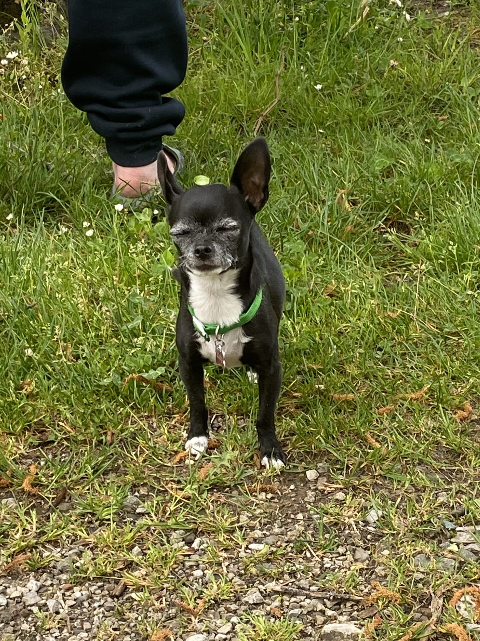 IMG 0050