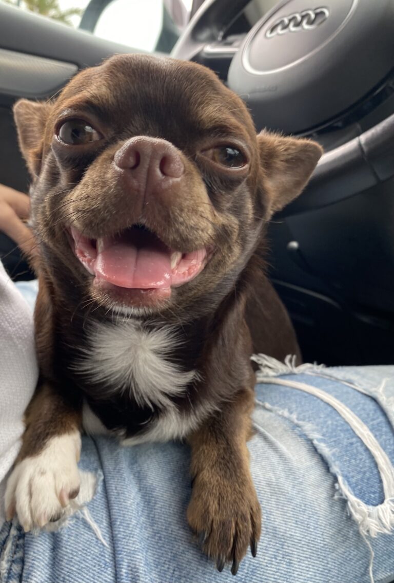 Tyson