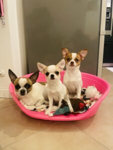 Berta, Ondina e Mafalda