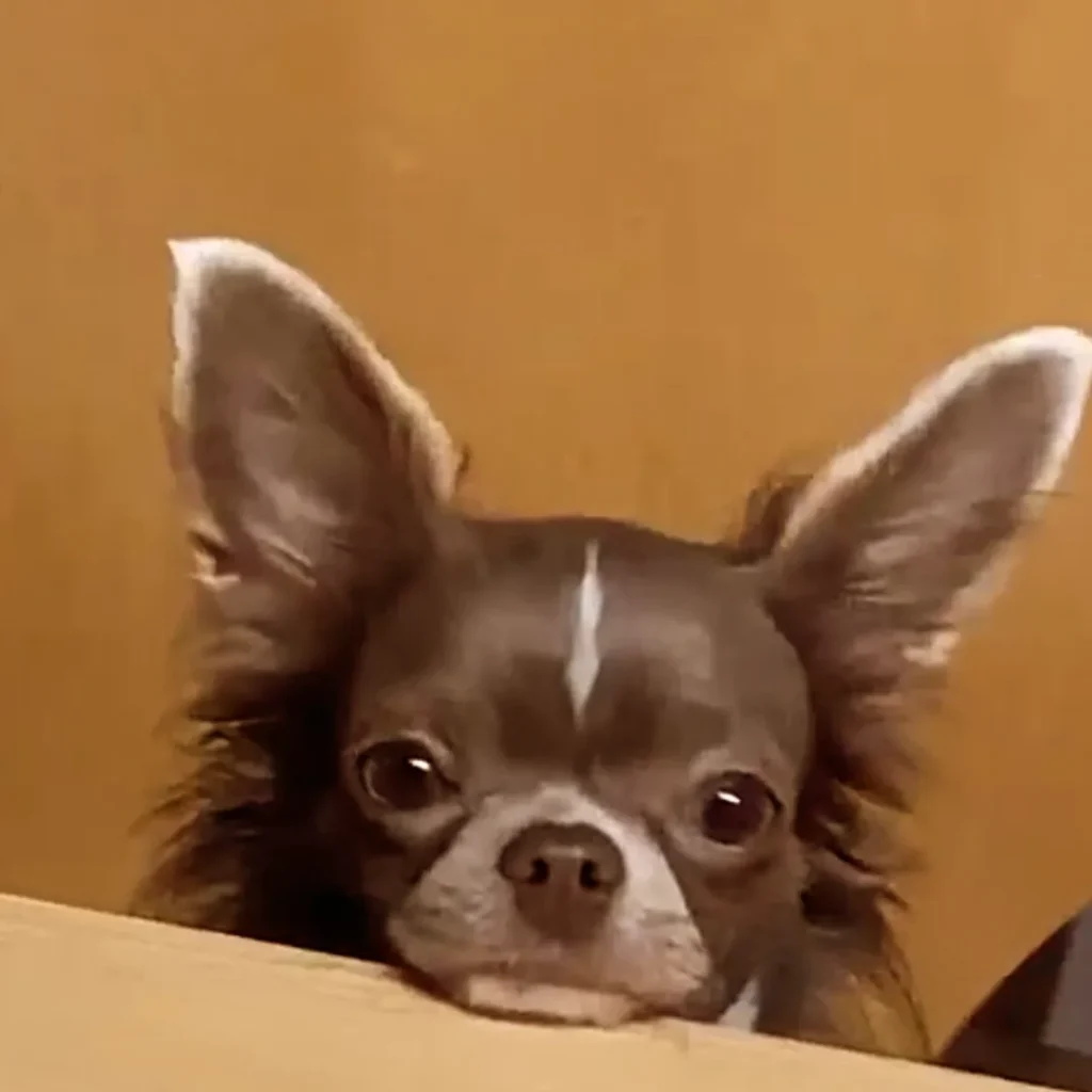 IMG 20240204 144831 020