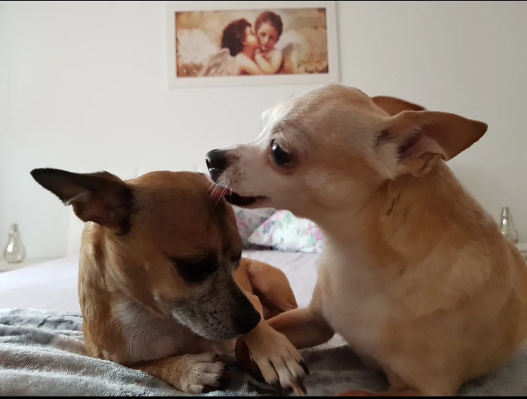 Poppi&Sandy
