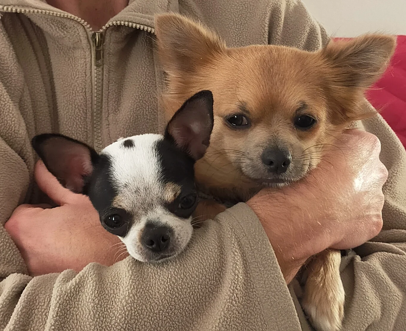 Sally e Deddy