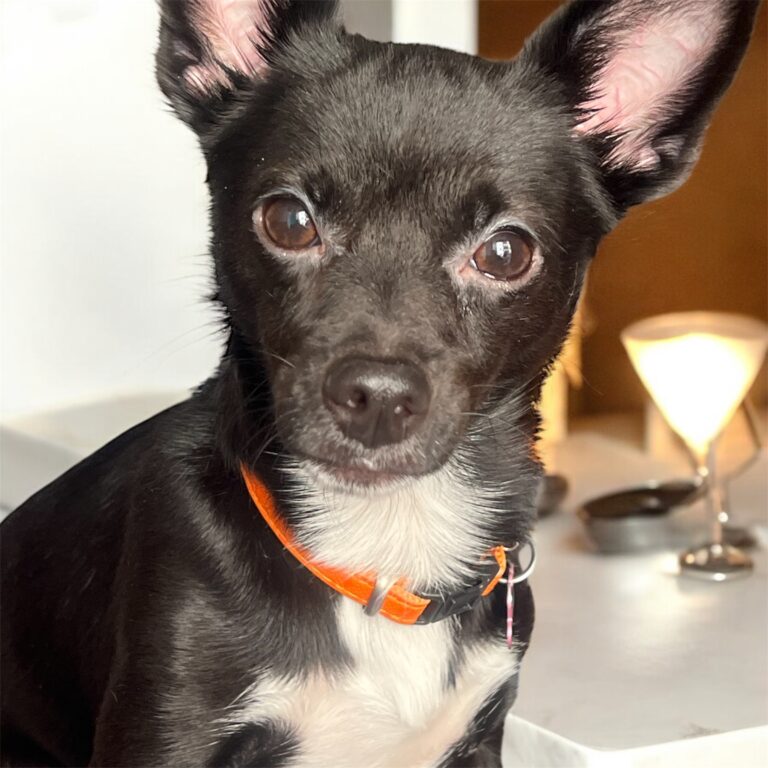 Photoroom 20250809 121046