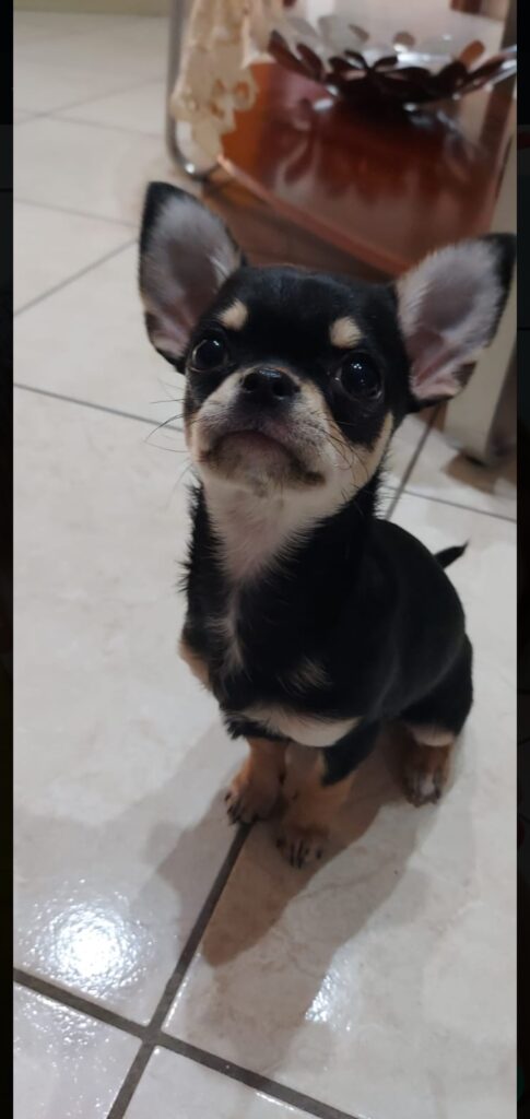 Screenshot 20240402 213854 WhatsApp