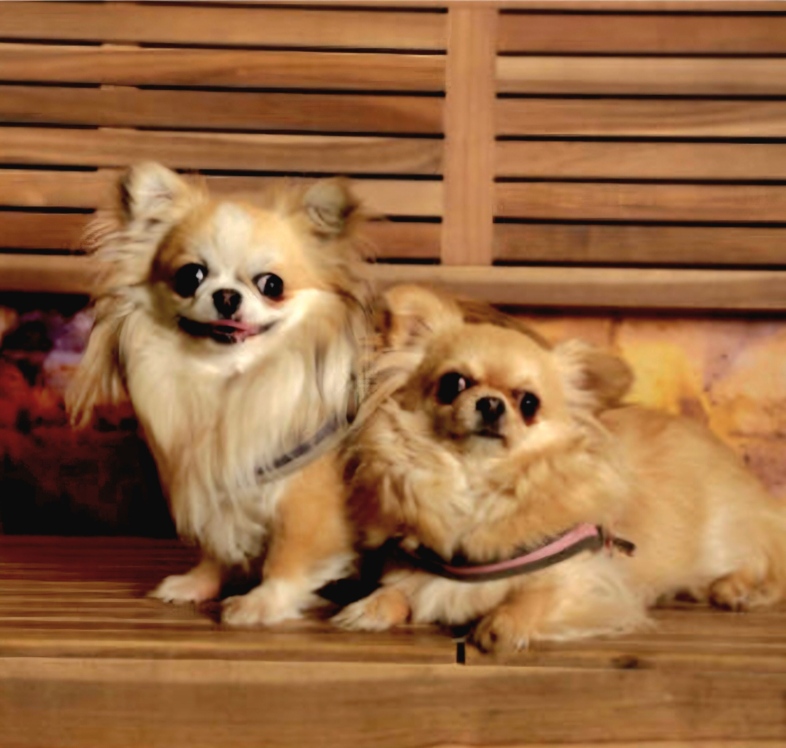 Screenshot 20260326 160510 Chrome scaled