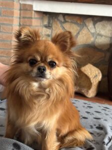 WhatsApp Image 2026 03 30 at 13.56.33