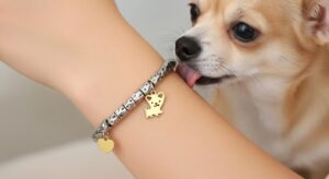 Il bracciale simbolo dell’amore per il tuo Chihuahua – Indossalo e sentilo vicino ogni giorno!