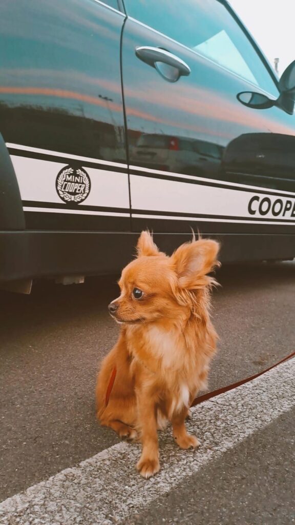 c544c4fe 4f6a 40be 9333 92e33d46630c