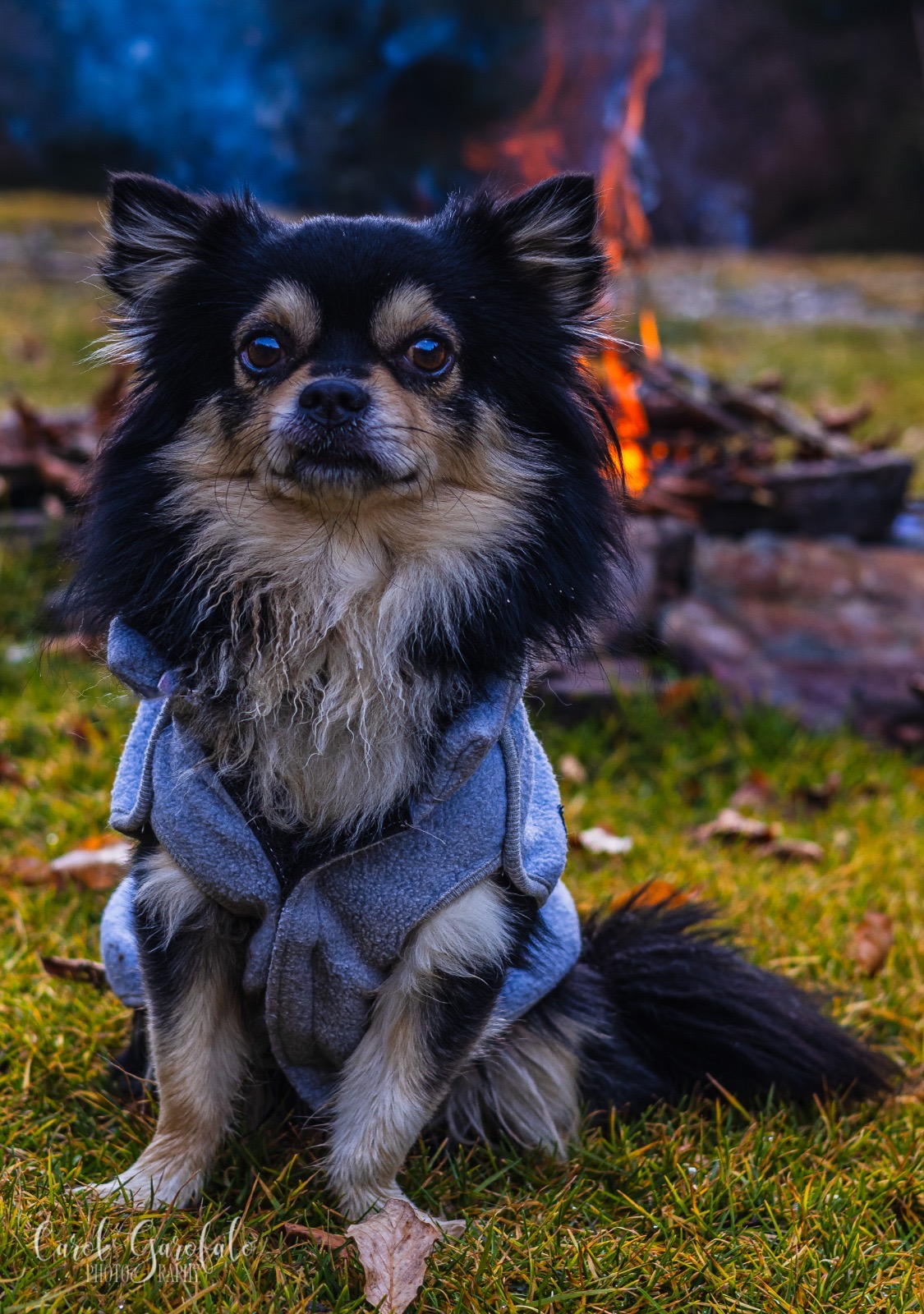 c5f0fffb d46c 49c0 91bc 0b6f7cc53ef1