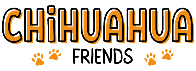 Chihuahua Friends