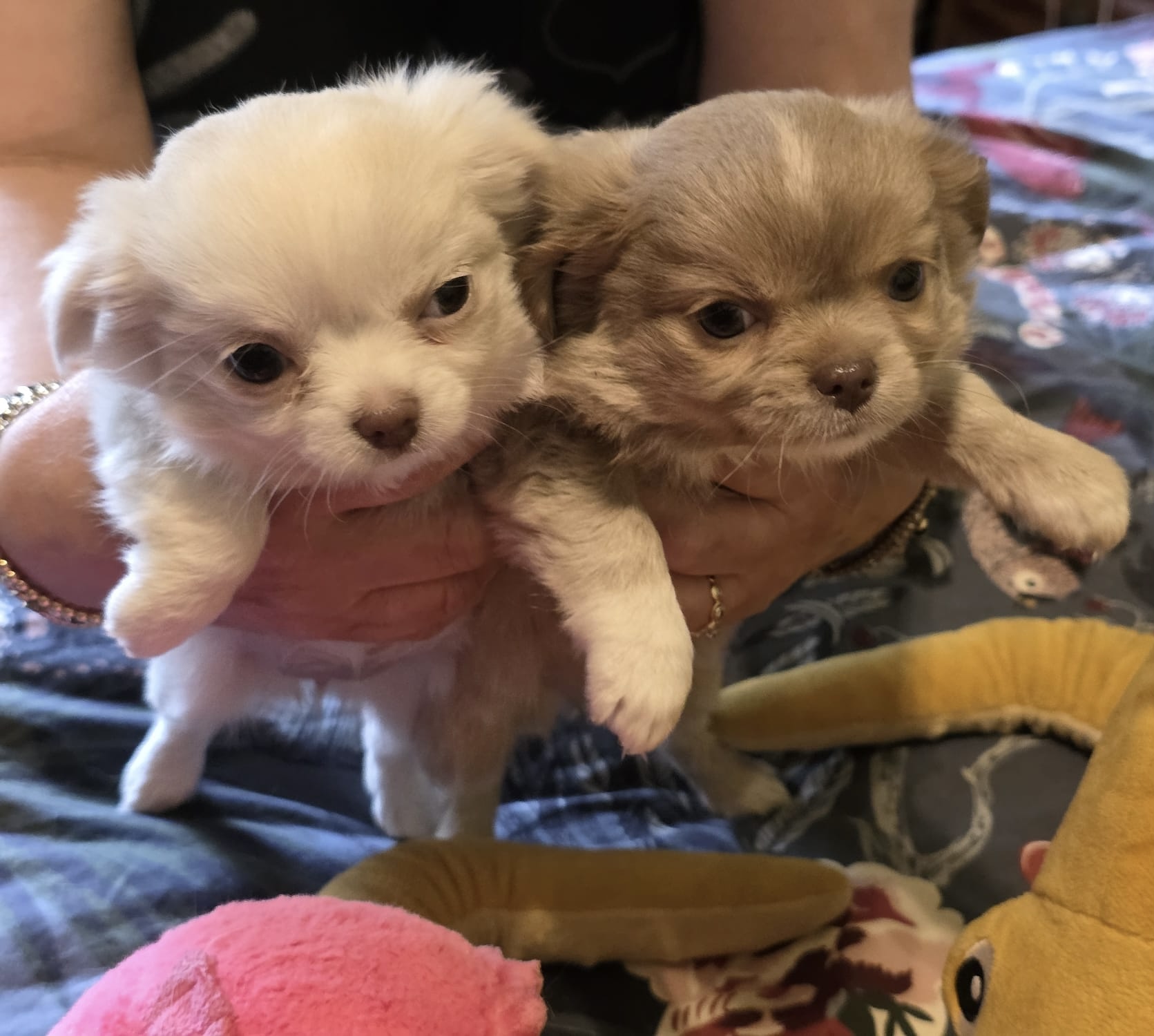 de8ee441 9f82 4be4 ac05 d1c23a918ac2