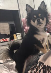 defce3e2 7828 4d89 9bbb 6057afca8e33