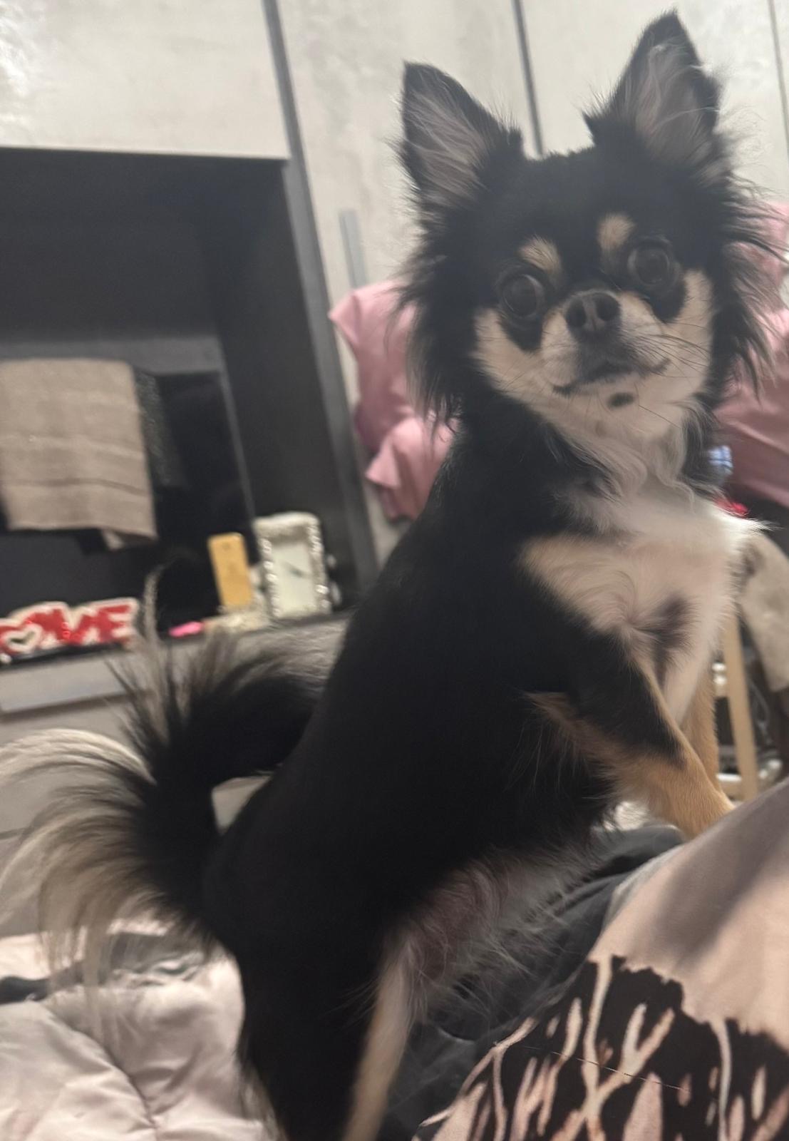 defce3e2 7828 4d89 9bbb 6057afca8e33