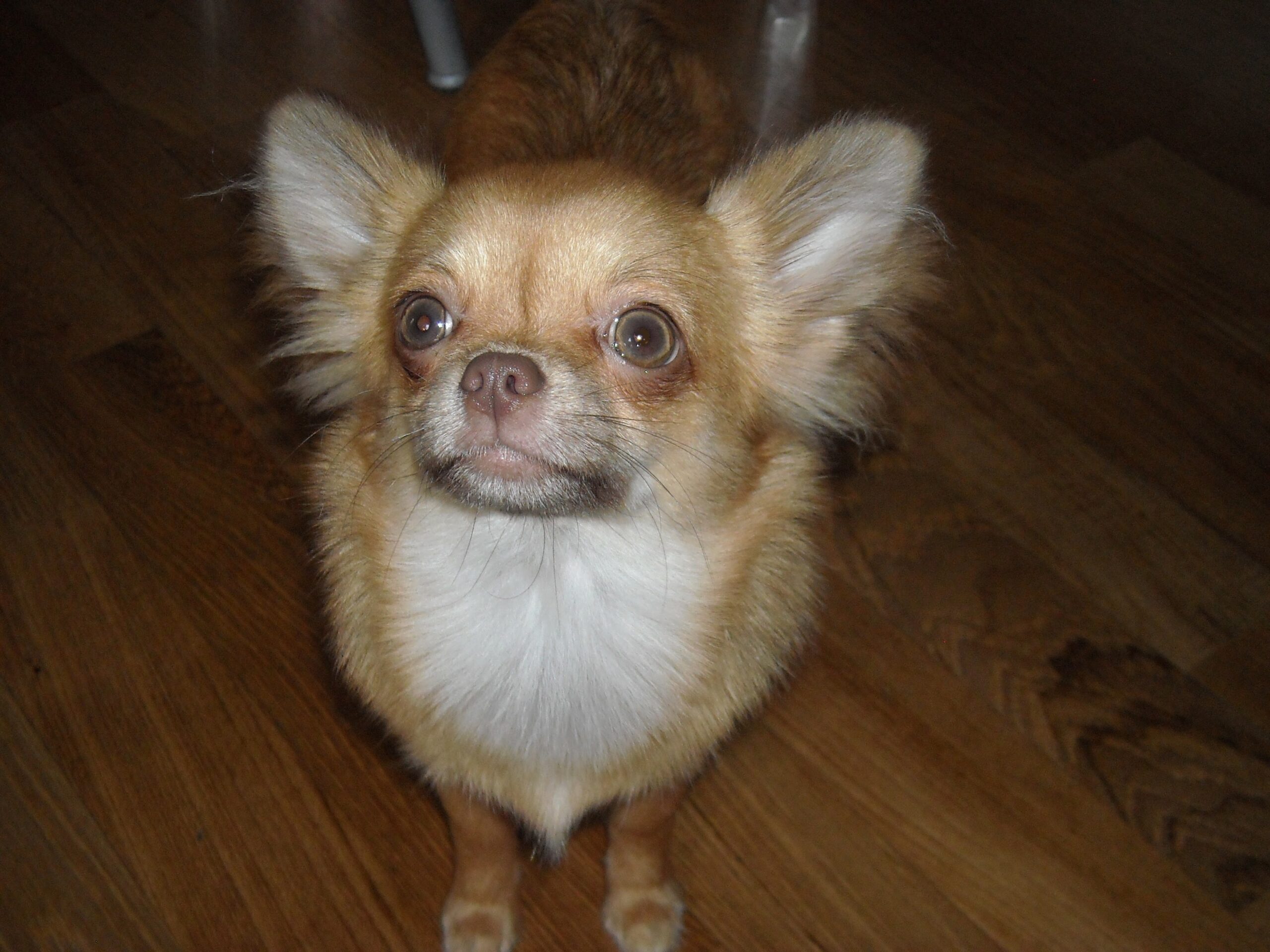 e000eb5d 1cde 4e44 ba6e d89c75329abf 1 all 4217 scaled