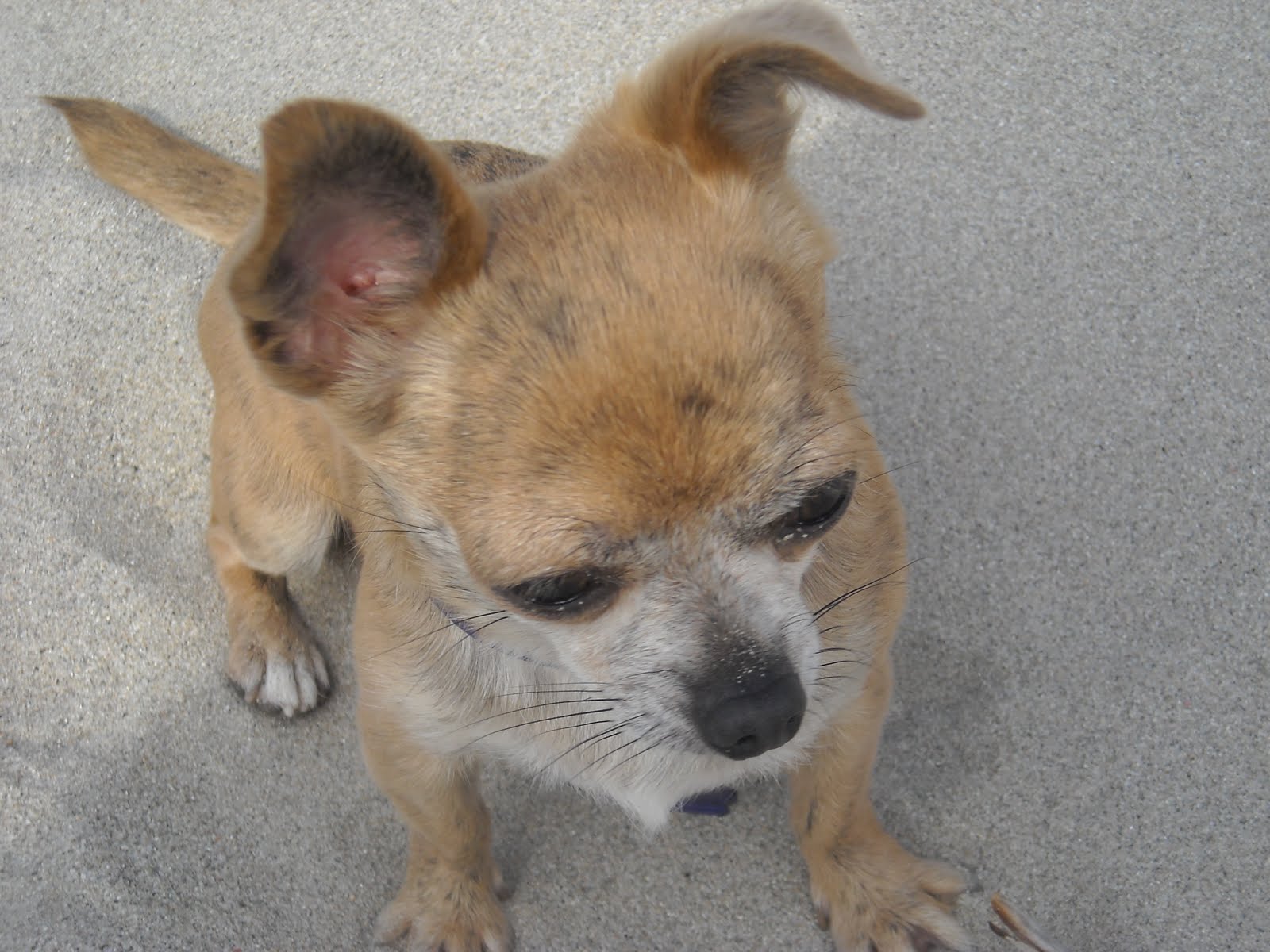 e000eb5d 1cde 4e44 ba6e d89c75329abf 1 all 4419