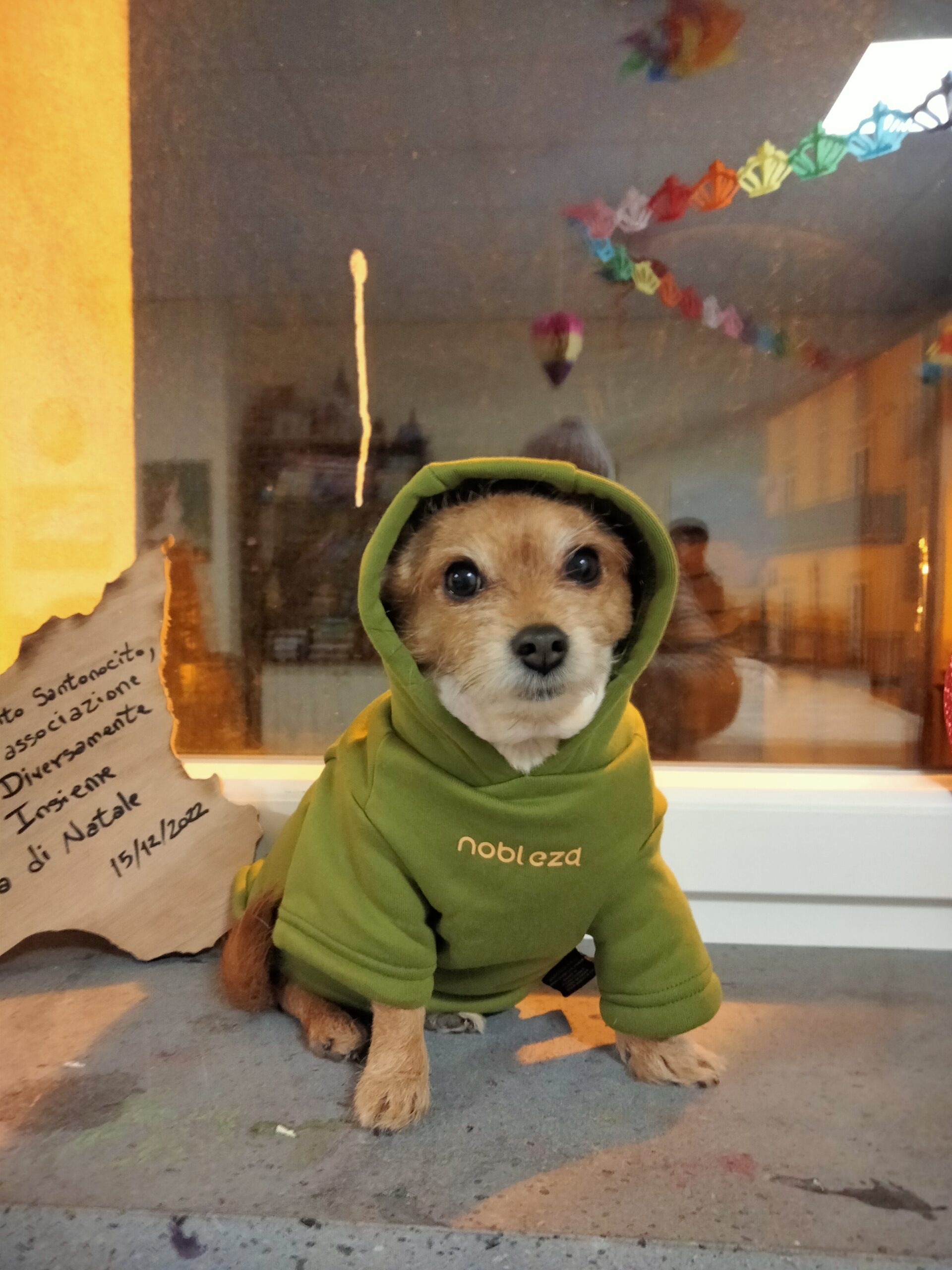 inbound1084619403078381991