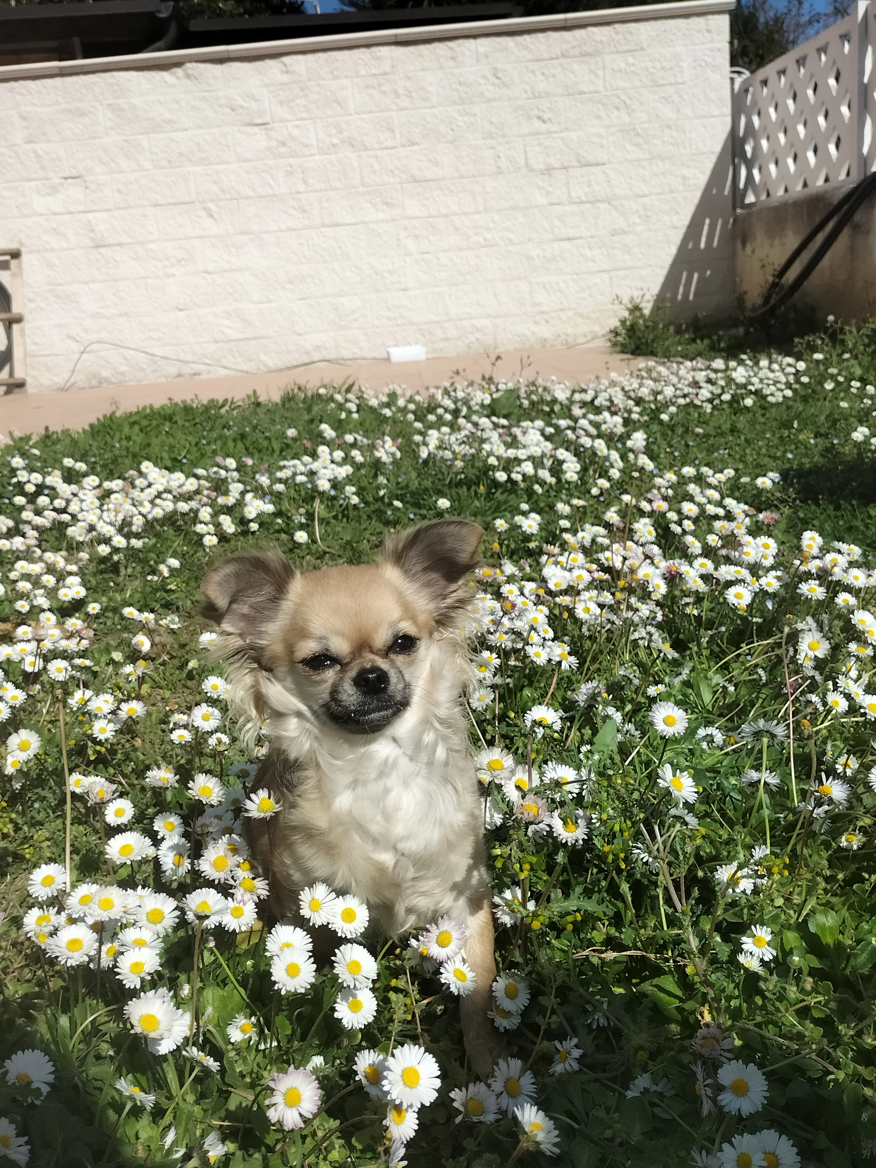 Zoe