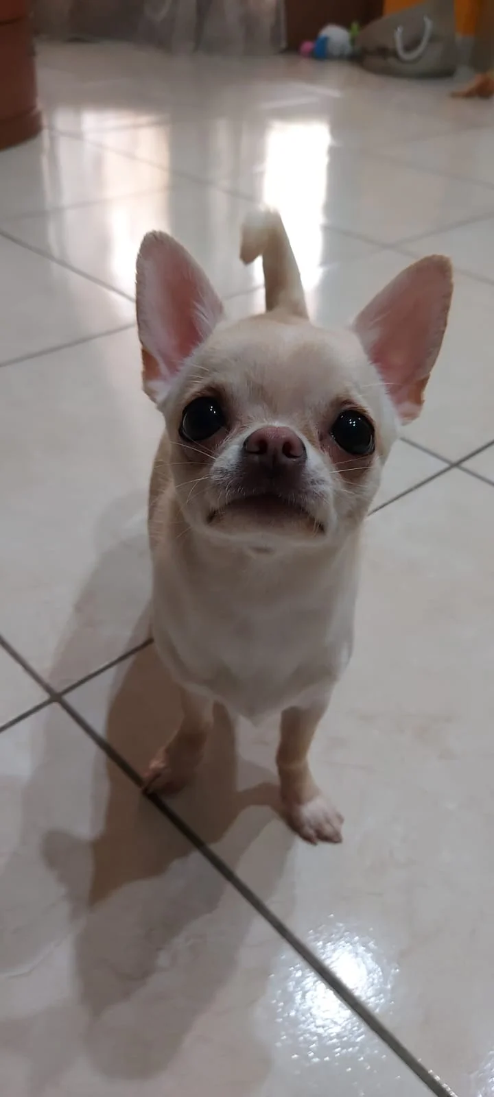 Zoe